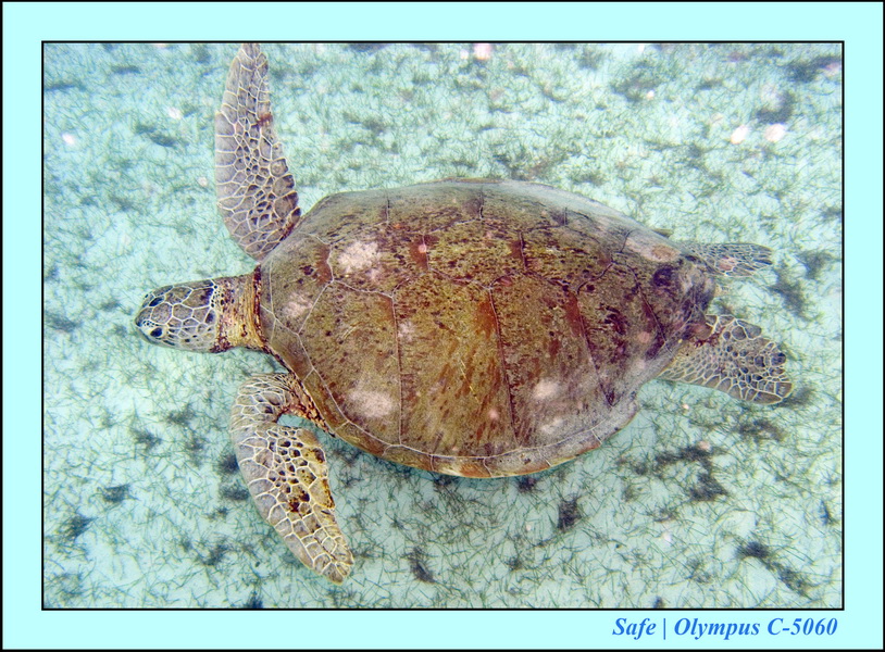 2008 - 07 - Perhentian - 063